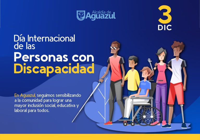 discapacidad 2024